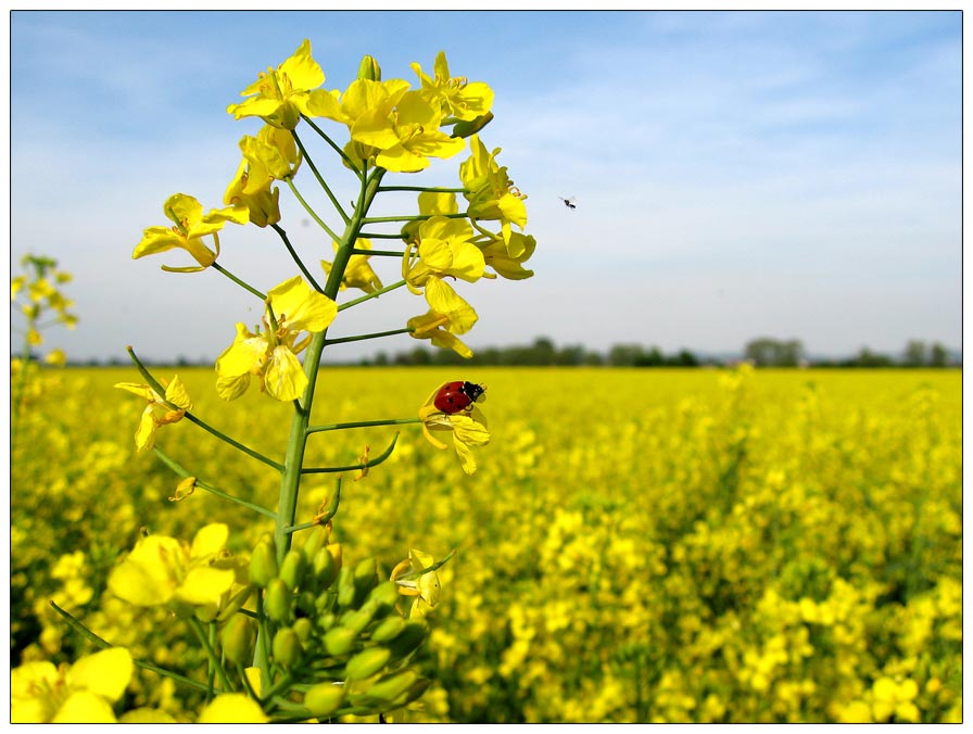 Starten und Landen mal anders