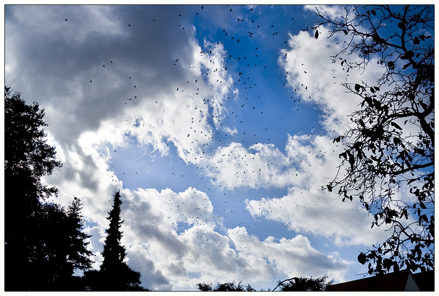Punkte im blauen Himmel