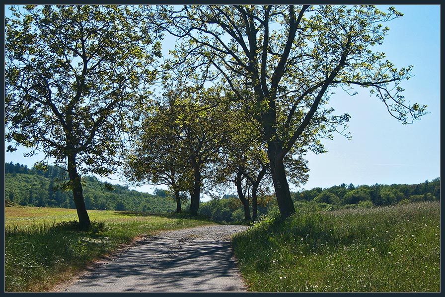 Eine Odenwald Idylle